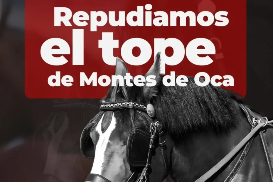 La tortura no es cultura: Repudiamos el tope en Montes de Oca